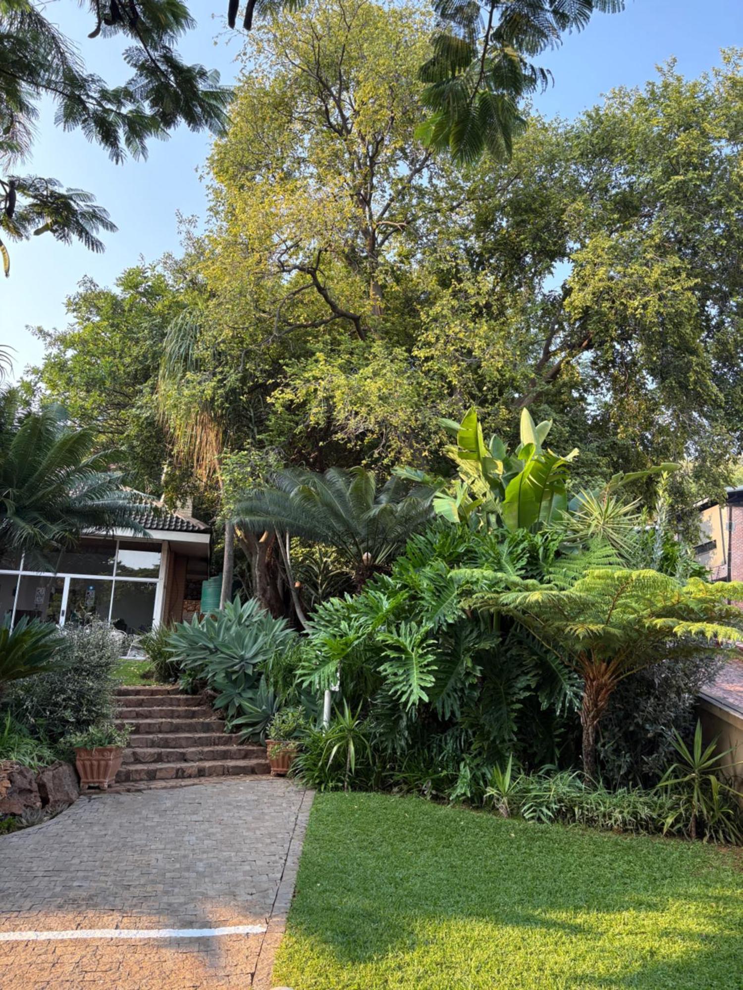 Luxury Upmarket Guesthouse 20 On 4Th Rustenburg Eksteriør billede